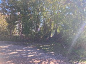 Allocated Parking Area- click for photo gallery